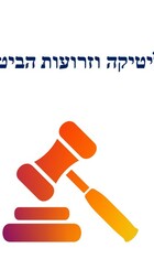 פוליטיקה וזרועות הביטחון.jpg